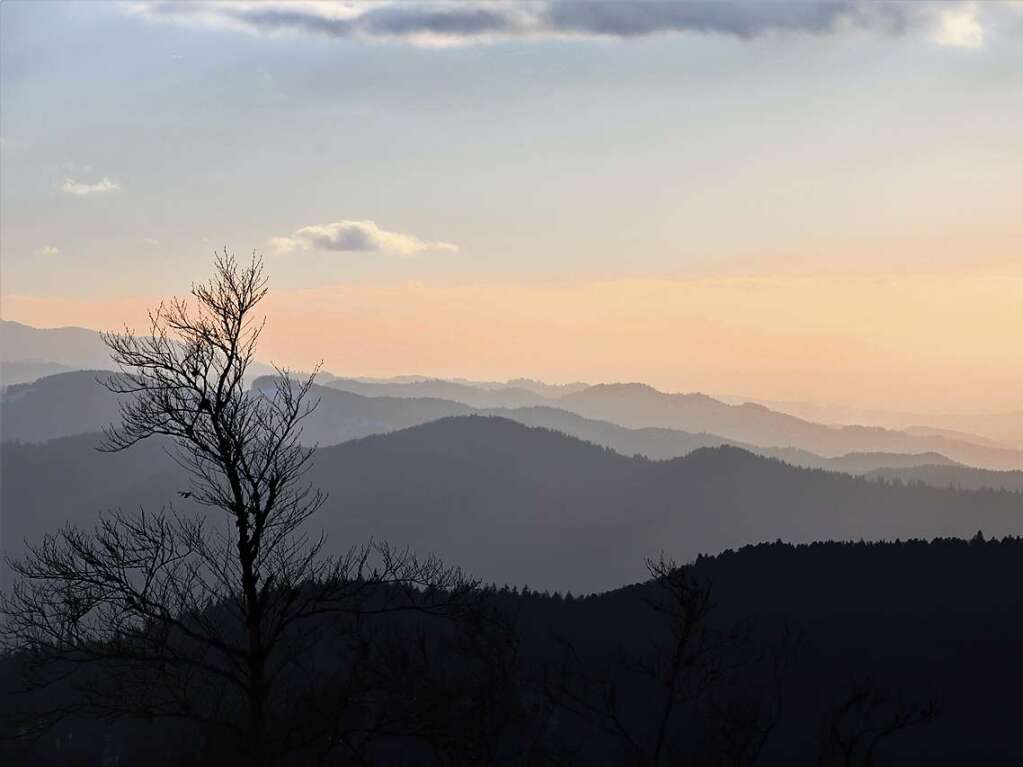 Ein stimmungsvoller abendlicher Schneespaziergang auf dem Kandel.