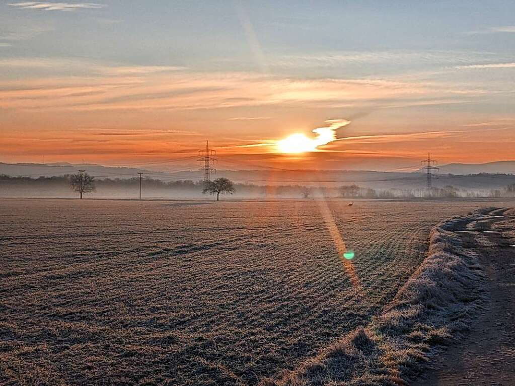 Ein Reh das in  Richtung Sonnenaufgang ber die Kenzinger Felder spaziert.