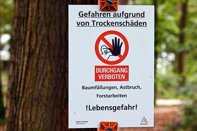 Der Wald leidet besonders unter der Tr...ragiler, es kann zu Astbrchen kommen.  | Foto: Uli Deck (dpa)