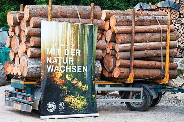 Holzkette Schwarzwald setzt sich gegen Raubbau am Wald ein