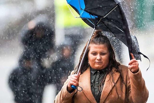 Deutscher Wetterdienst warnt vor Orkanben im Schwarzwald