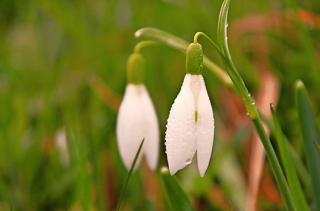   | Foto: Frank Schauer