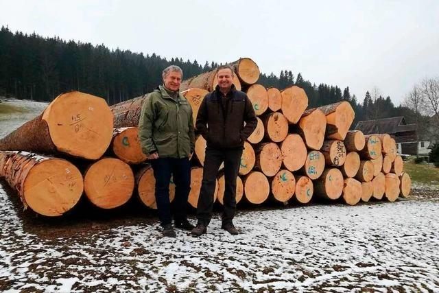 Trockenheit bereitet der Waldgenossenschaft Breisgau-Hochschwarzwald Sorgen