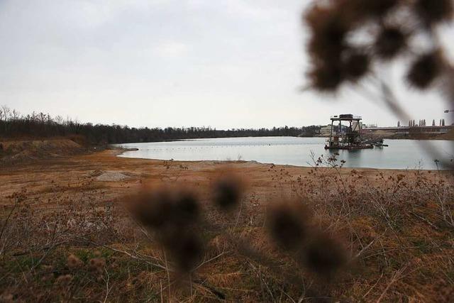 Am Waldmattensee in Lahr mssen vorerst keine Bume fr Kiesabbau weichen