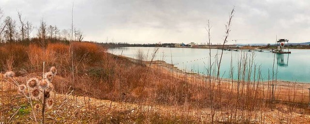 Die Firma Vogel Bau nutzt den Waldmattensee in Kippenheimweiler zum Kiesabbau.  | Foto: Bastian Bernhardt