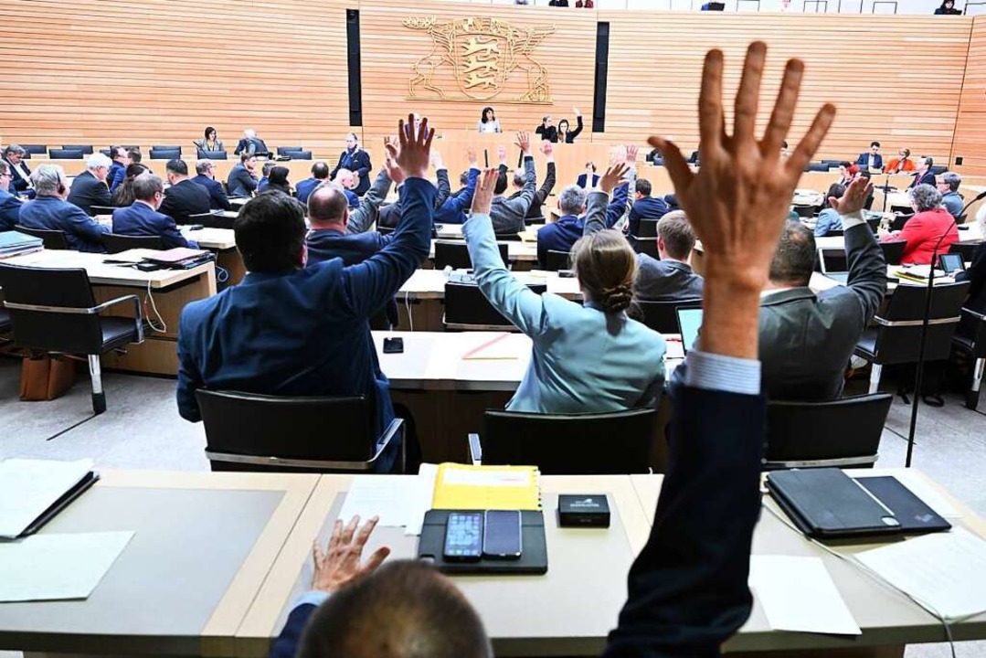 Die Abgeordneten des Landtags in Baden...rung der Wahlkreise im Land abgelehnt.  | Foto: Bernd Weißbrod (dpa)