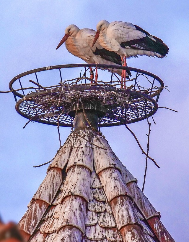   | Foto: Wolfgang Hoffmann/Nabu