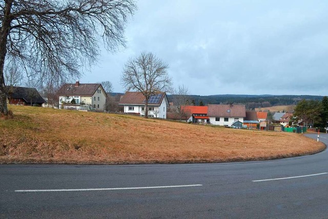 Auf dieser Wiese am Ortsrand von Rten...4 Metern gefllt nicht allen Brgern.   | Foto: Liane Schilling