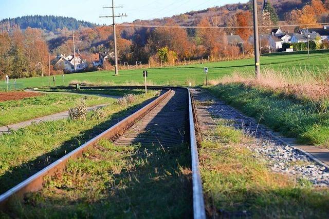 Der Kreis Lörrach will mehr Klarheit bei der Reaktivierung der Kandertalbahn