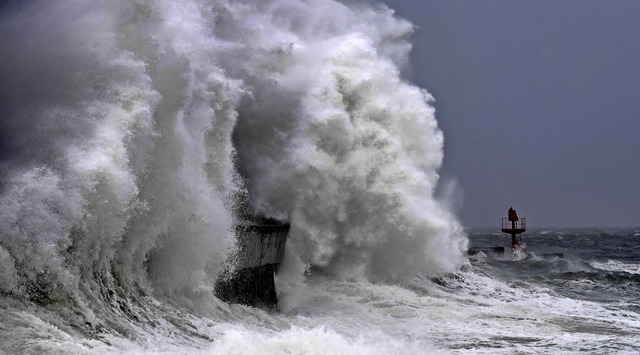   | Foto: FRED TANNEAU (AFP)