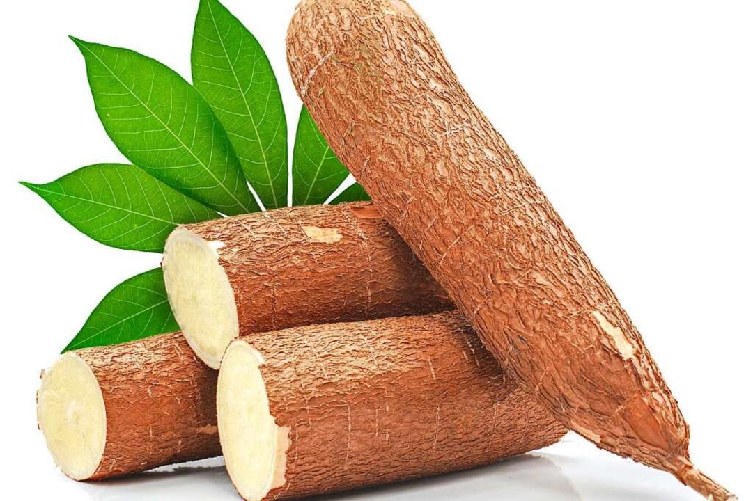 Ernährt Millionen Menschen: die Cassava-Wurzelknolle, auch als Maniok bekannt  | Foto: ruzz (stock.adobe.com)