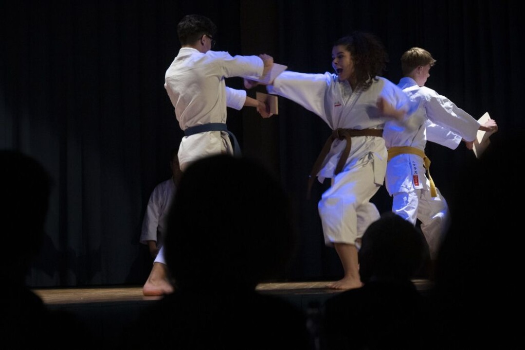 Die Jugendgruppe des Karate-Dojos Mllheim zeigte ihr Knnen.  | Foto: Volker Mnch