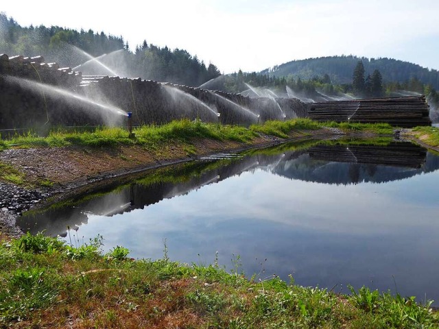 Das Nasslager in Kappel bietet die Mg...hier ohne Qualittsverlust zu lagern.   | Foto: Peter Stellmach