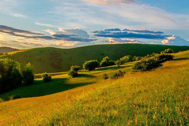 Zu den artenreichen Wiesen am Kaiserstuhl fhrt die Exkursion im Mai.  | Foto: Gabriele Hennicke