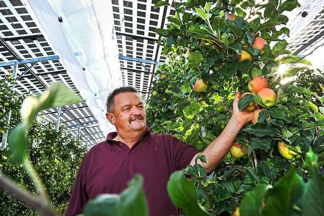 Denzlinger Ortsverband des BLHV spricht sich fr Agri-PV-Anlagen aus