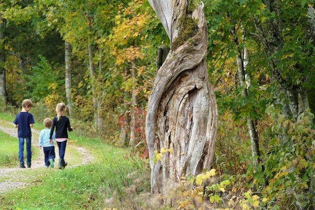 Hochmoor-Rundweg