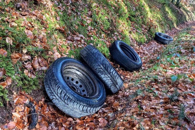 Dem Verursacher droht ein saftiges Bugeld.  | Foto: Martha Weishaar