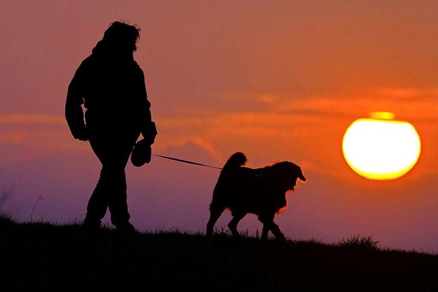 Die Hundesteuern werden vermehrt erhht (Symbolfoto).  | Foto: Thomas Warnack (dpa)