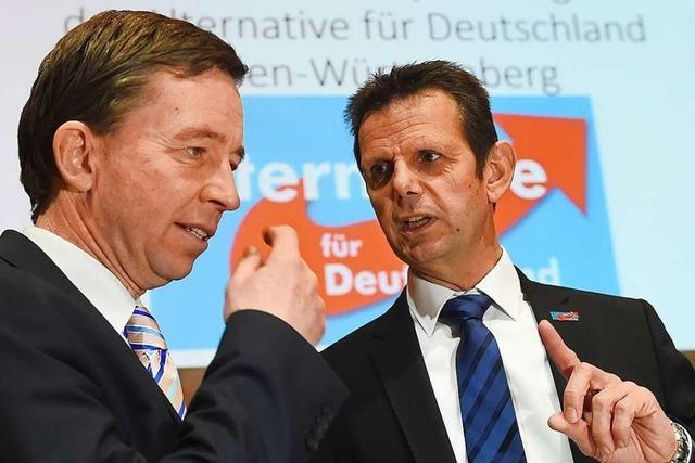 Zehn Jahre AfD in Baden-Wrttemberg: Die Partei hat viele Landesvorsitzende verschlissen