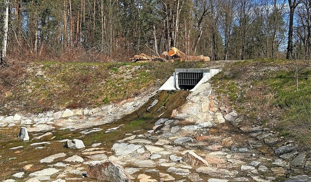 Der Hochwasserentlastungskanal endet i...urpark, wo das Wasser versickern kann.  | Foto: Marc Braun