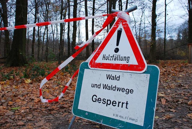 Im Unadinger Wald mussten 81 Prozent d...erbefalls gefllt werden (Symbolfoto).  | Foto: Gertrude Siefke