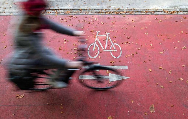 Wie es um die Radwege rund um Ettenhei...ben Schlerinnen und Schler bewertet.  | Foto: Friso Gentsch (dpa)