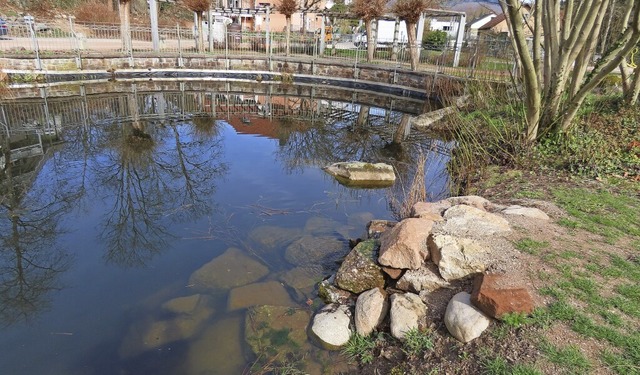 Der Teich im Ludingarten wird tglich mit Wasser aus der Wehra versorgt.  | Foto: Gerd Leutenecker