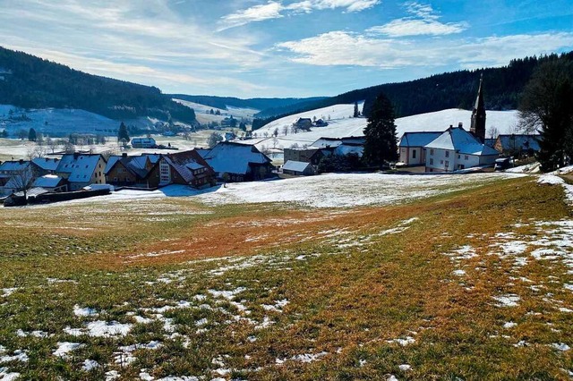 Blick auf Waldau: Auf der Wiese im Vordergrund wird das Neubaugebiet entstehen.  | Foto: Tanja Bury