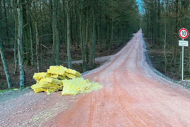 Dreiste Art, der Allgemeinheit seine Probleme aufzubrden.  | Foto: Polizei