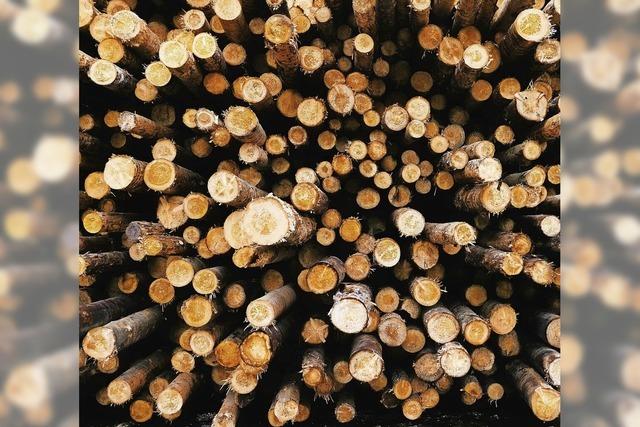 Vertrag zur Forstbetreuung wird angepasst