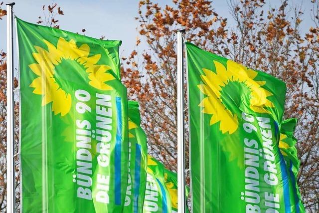 Die Grünen im Kreis Lörrach bereiten sich auf die Wahl 2024 vor