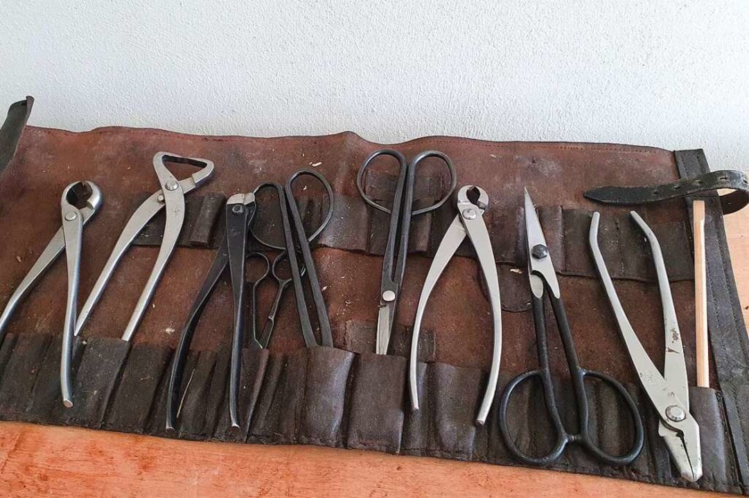 Fr die Pflege der Pflanzen braucht es Werkzeug.  | Foto: Hannes Selz