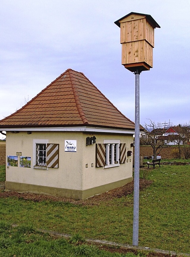 Der neue Fledermausturm steht beim Eichstetter Pumpenhuschen.  | Foto: Horst David