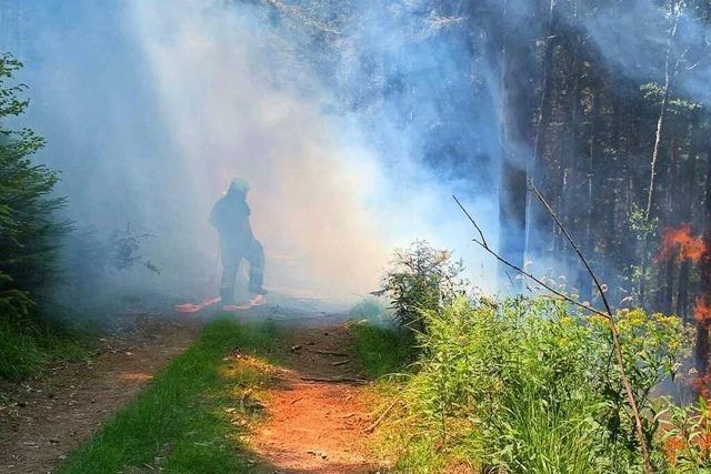 Feuerwehr Reute stellt Expertise in Sachen Waldbrandbekämpfung am Kandel unter Beweis