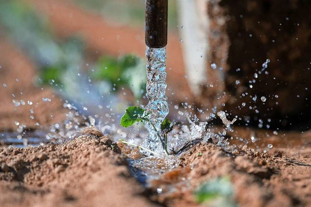 Ab wann kann drauen gepflanzt werden ...temperatur hilft bei der Entscheidung.  | Foto: Sebastian Gollnow (dpa)