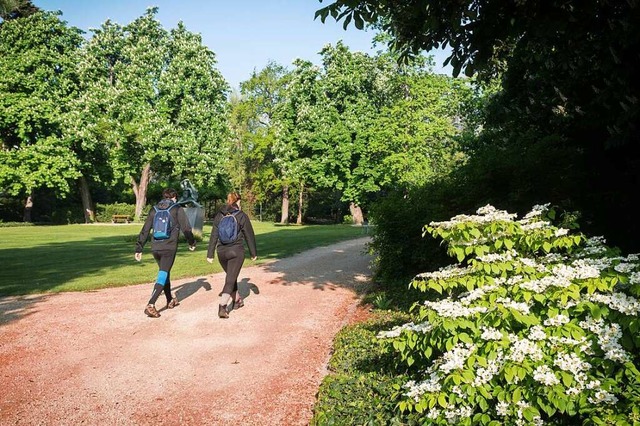 Der Rosenfeldpark in Basel soll behutsam saniert werden.  | Foto: Robert Adam Basel