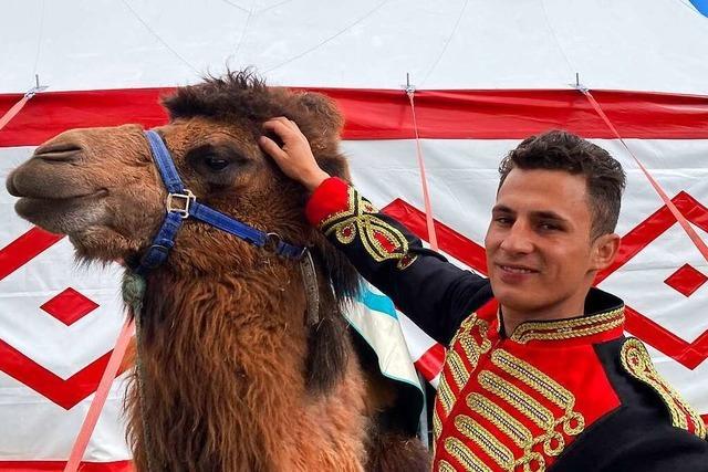 Circus Edmund Kaiser beklagt zerstrte Plakate in Bad Sckingen