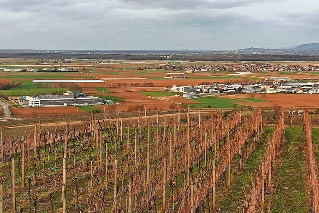 Blick auf das Gewerbegebiet im Westen ...gen: links die Firmen Keller und Braun  | Foto: Martin Wendel