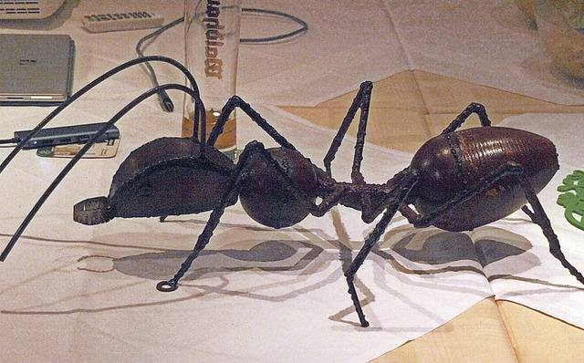 Eine der acht Ameisen, die bald den ne...lebnispfad Dachsweg bevlkern sollen.   | Foto: Karin Stckl-Steinebrunner