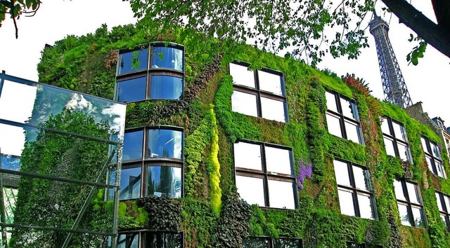Die Begrnung von Fassaden wie hier in...nte, sondern hat vielfltigen Nutzen.   | Foto: Living Press