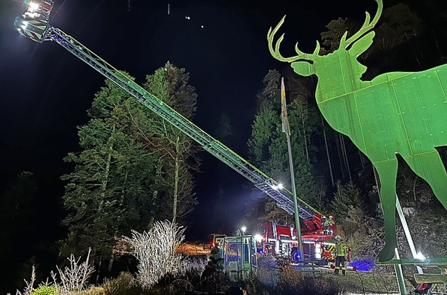 Mit der Drehleiter wurde der Hang ausgeleuchtet.  | Foto: Andreas Bhm