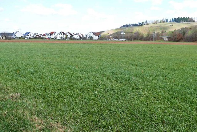 Auf dem Krebsacker soll das neue Feuer... die Bebauung an der Von-Bayer-Strae.  | Foto: Sylvia Sredniawa