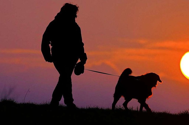 Die Polizei sucht Hinweise und Kontakt...er Besitzerin des verstorbenen Hundes.  | Foto: Thomas Warnack (dpa)