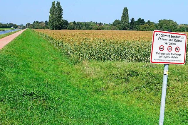 Zwischen Dreisam und Lehen liegt das Baugebiet &#8222;Zinklern&#8220;.  | Foto: Ingo Schneider