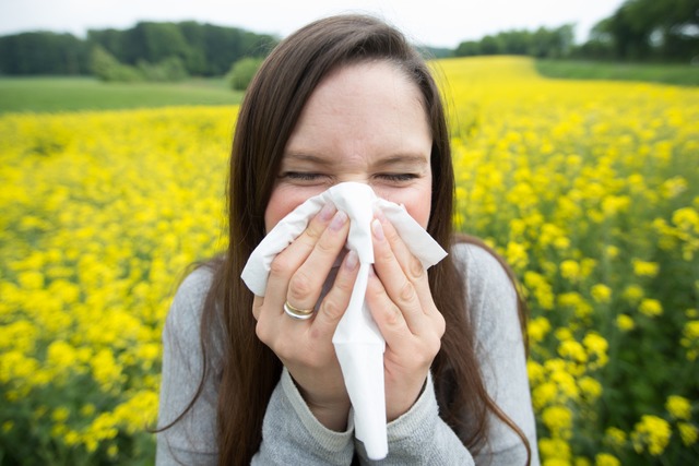 Von Grsern und Birke stammen Pollen, ...ie besonders viele Menschen reagieren.  | Foto: Friso Gentsch