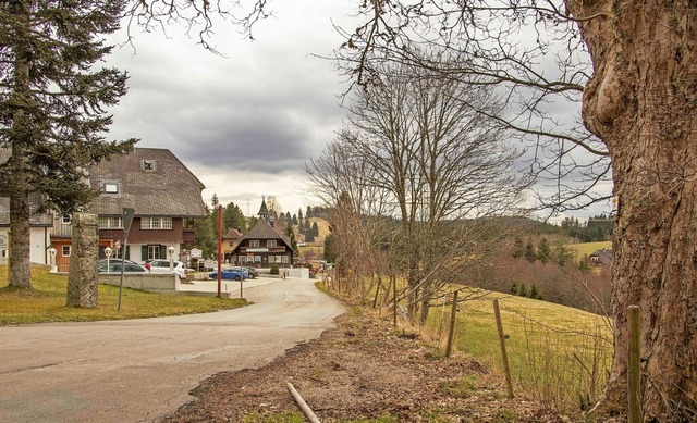 Die Holz-Chalets sollen gegenber des Gasthauses und Campingplatzes entstehen.   | Foto: Wilfried Dieckmann