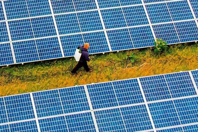 Rte in Simonswald stimmen gegen Solarpark – wegen Touristen