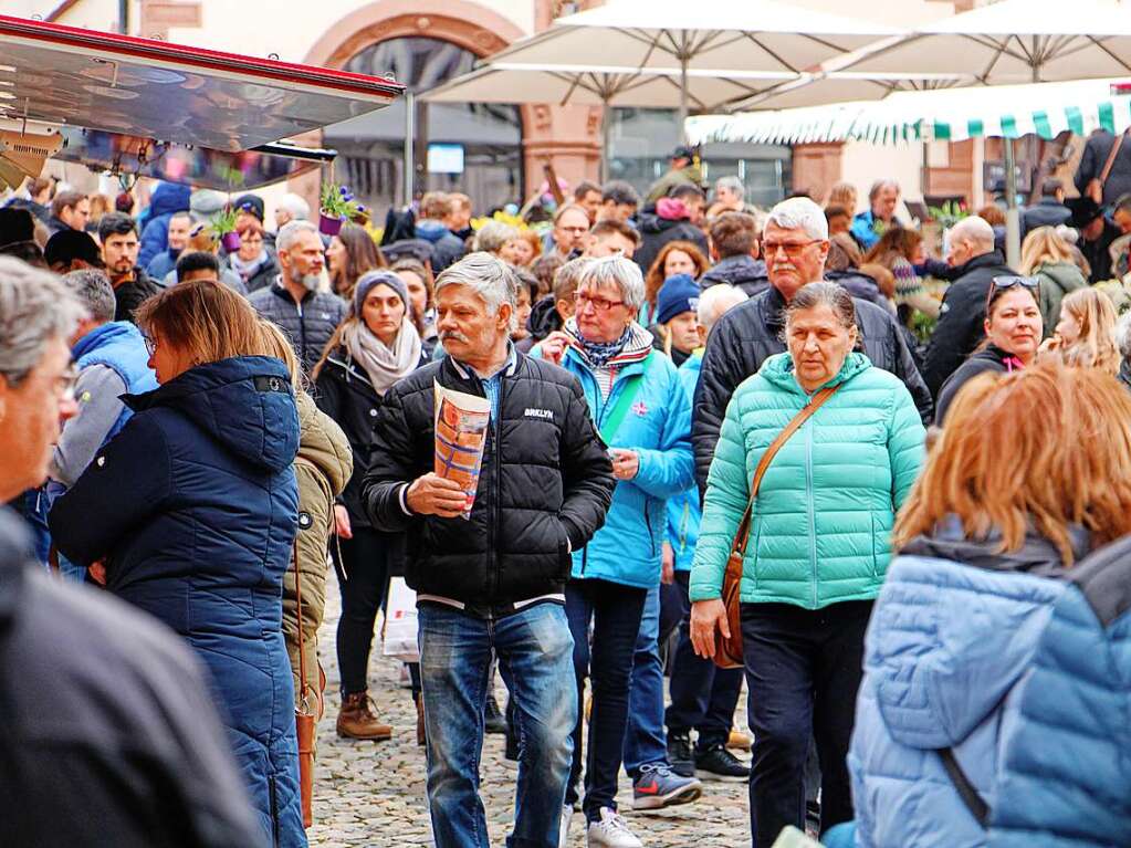 Trotz des wechselhaften und teils strmischen Wetters strmten die Besucher am Sonntag in die Endinger Innenstadt zum Garten- und Antikmarkt und dem damit verbundenen verkaufsoffenen Sonntag.