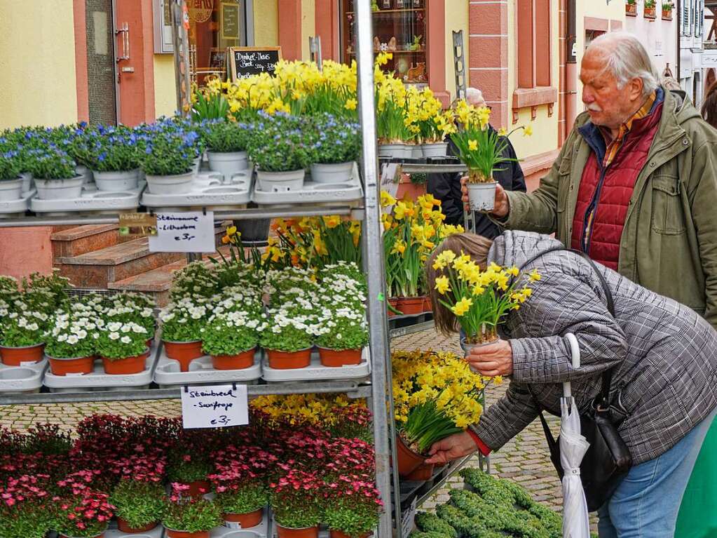 Groe Angebotsvielfalt fr den Frhling zuhause