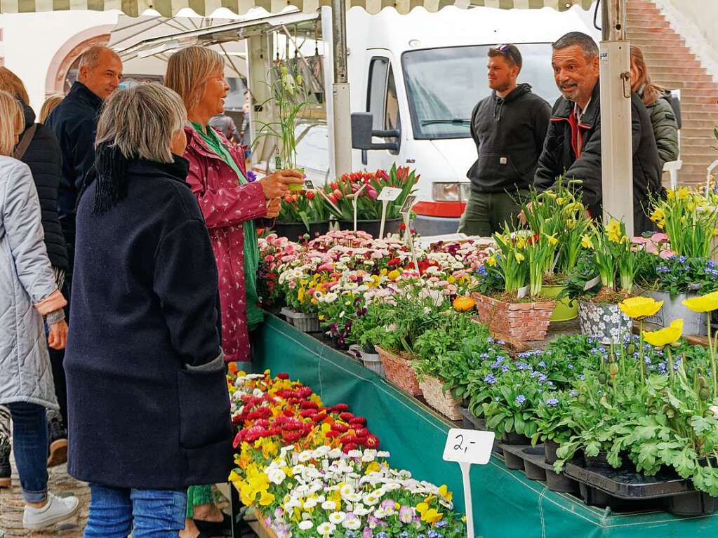 Groe Angebotsvielfalt fr den Frhling zuhause